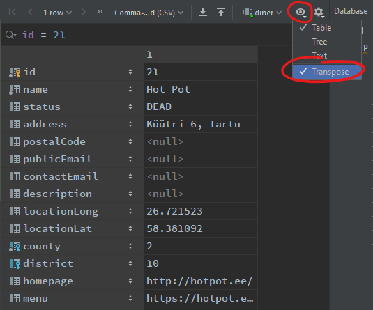 IntelliJ näide
